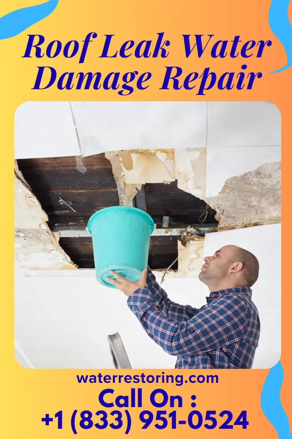 Roof Leak Water Damage Repair in Pickensville, AL