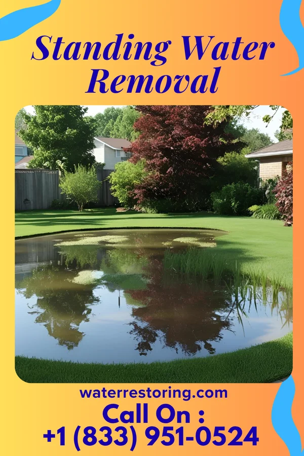Standing Water Removal in Pickensville, AL